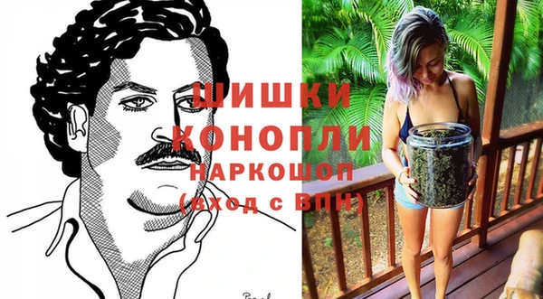 МДПВ Елизово