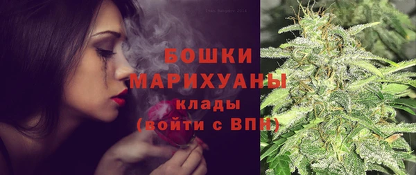 соль ск Заводоуковск