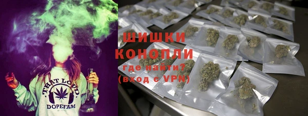 соль ск Заводоуковск